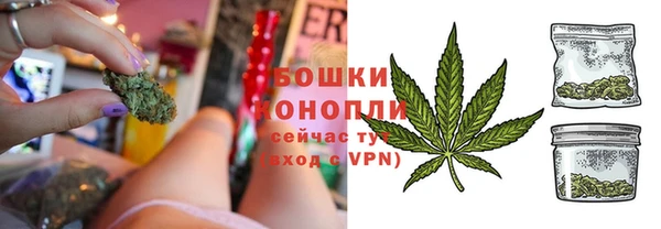мдпв Богородск