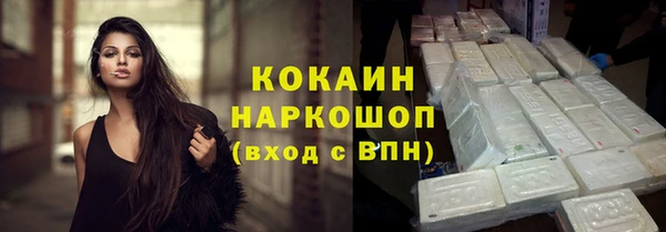 мдпв Богородск