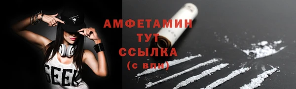мдпв Богородск