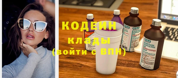 мдпв Богородск