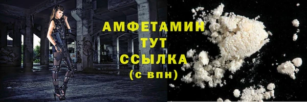 мдпв Богородск