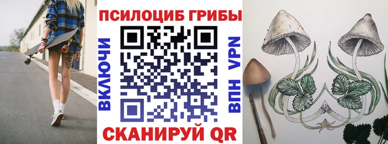 купить наркотики цена  Горячий Ключ  Псилоцибиновые грибы ЛСД 